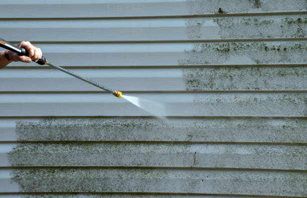Best Building Exterior Washing  in South Haven, IN