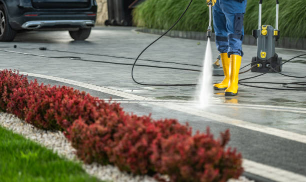 Best Driveway Pressure Washing  in South Haven, IN